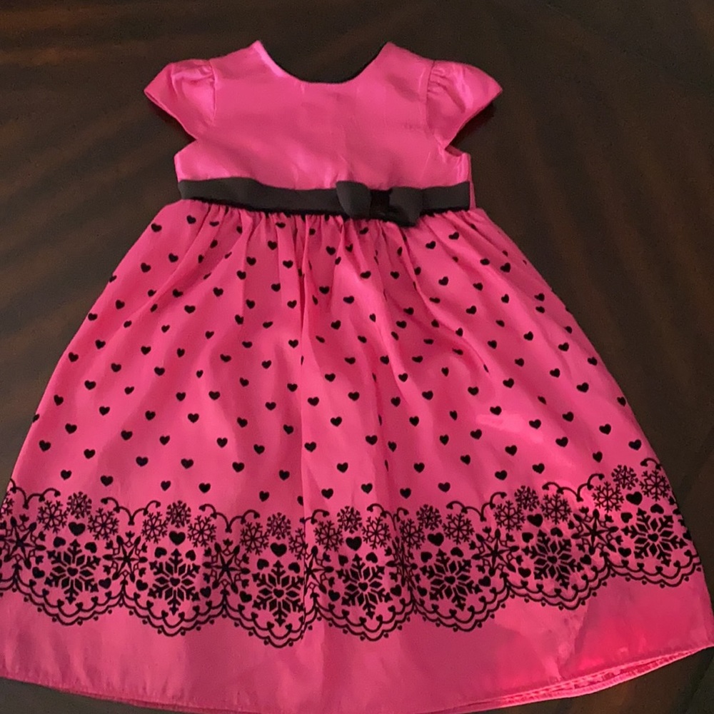 Beautiful Pink Dress with Velvet Cover